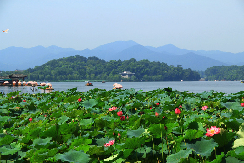 杭州西湖一日游